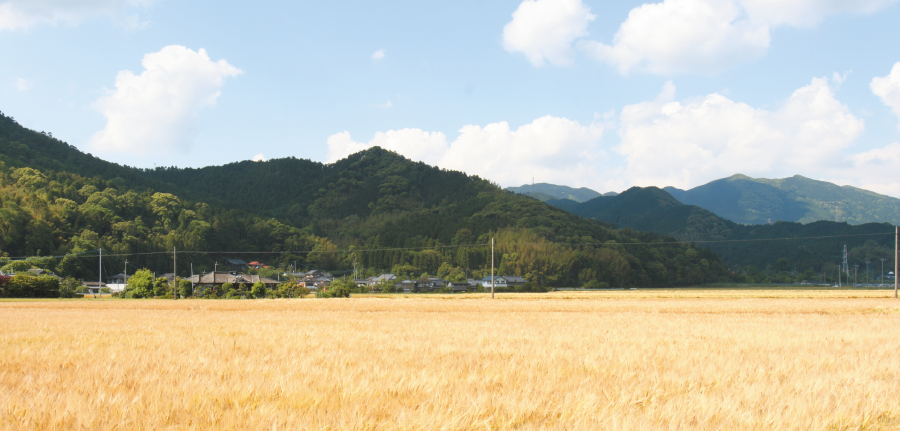 望ましきライフ・サイクル