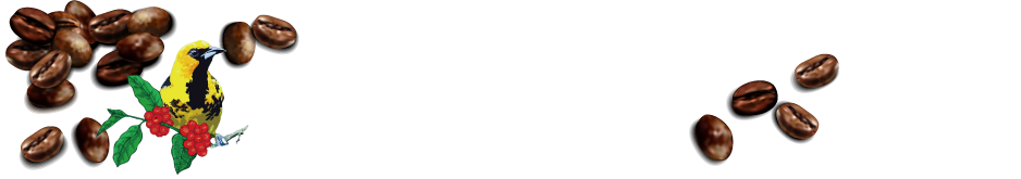 COFFEE SPECIALITE（コーヒースペシャリテ）